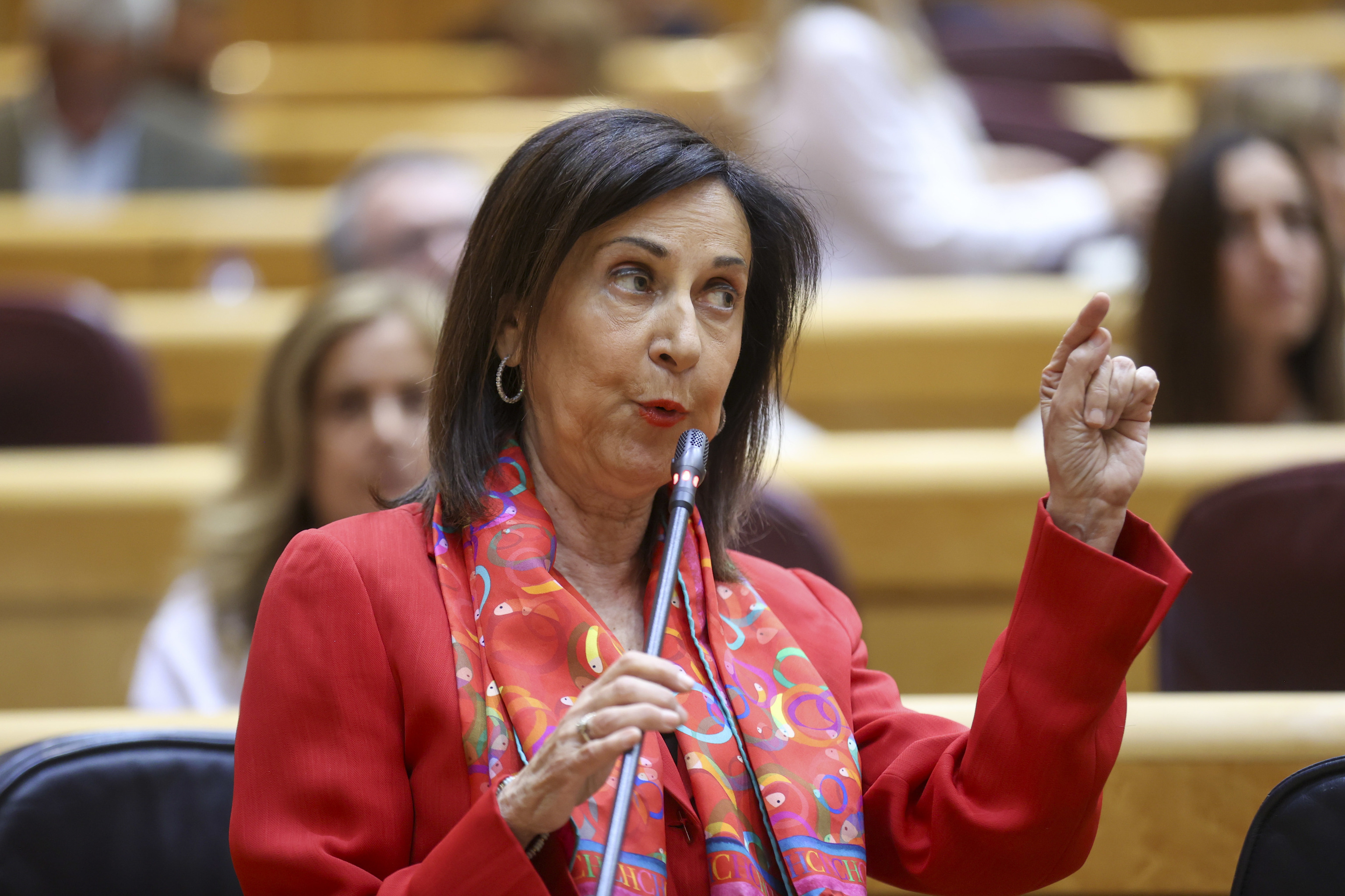 Margarita Robles carga contra las empresas por el fin del programa del nuevo caza europeo: "Es un fracaso. Se han antepuesto los intereses de la industria a la defensa de Europa" Pide una reflexión a nivel europeo por un nuevo fracaso de un programa conjunto comunitario Leer