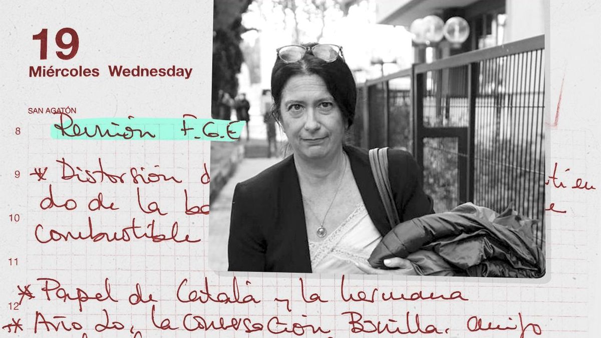 La Fiscalía General tuvo dos reuniones con un abogado y Leire Díez donde presentaron denuncias contra el fiscal Grinda El juez solicita detalles de unos encuentros con el jefe de la Secretaría Técnica que llegaron precedidos de una decena de escritos de queja o recursos del empresario Pérez Dolset por los mismos hechosTodas las promesas incumplidas de Leire Díez: ni exterminar jueces, ni destruir investigaciones
La exmilitante socialista Leire Díez, imputada por supuestos delitos relacionados con sus maniobras para buscar irregularidades en la actuación de los jefes de la UCO o de la Fiscalía Anticorrupción que investigaban a dirigentes socialistas, apuntó en su agenda personal una reunión con la Fiscalía General del Estado el 19 de febrero de 2025. El juez Santiago Pedraz, que dirige la investigación en la Audiencia Nacional, ha solicitado a esta institución un informe sobre esos supuestos encuentros.
elDiario.es ha confirmado en fuentes próximas a la trama investigada que se produjeron dos reuniones con el jefe de la Secretaría Técnica de la Fiscalía General del Estado, Diego Villafañe, en la que estuvieron presentes el abogado Jacobo Teijelo, con quien se había concertado la cita, y la exmilitante socialista Leire Díez, que le acompañó.
El abogado Teijelo denunció en el primer encuentro mantenido en la Fiscalía General del Estado las numerosas irregularidades supuestamente cometidas por el fiscal Anticorrupción, José Grinda, en algunos procedimientos judiciales. Entre las causas penales que citó figura una pieza separada del caso Tándem en la que está imputado por fraude en las subvenciones el empresario Javier Pérez Dolset, cliente de Teijelo; o la que llevó a la cárcel a Sandro Rosell, el expresidente del F. C. Barcelona, absuelto tras pasar 643 días en prisión preventiva.
La Secretaría Técnica de la Fiscalía General del Estado reclamó en la primera de las reuniones, según cuenta el entorno de la trama de Leire Díez, documentación en la que se basaba la denuncia contra Grinda, por lo que se concertó una segunda cita para entregar las supuestas pruebas que pudieran avalar el relato de Teijelo. Entre esas pruebas llevaron grabaciones del supuesto montaje que terminó con Sandro Rosell en prisión o la supuesta desaparición de pruebas relevantes en el caso por el que estaba imputado Pérez Dolset. La Fiscalía General del Estado ha preferido guardar silencio sobre estas citas.
El abogado Jacobo Teijelo es ahora es uno de los dos letrados que defienden a Santos Cerdán, el ex secretario de Organización del PSOE imputado en el caso de supuesto amaño de obras públicas del Ministerio de Transportes que investiga la Audiencia Nacional. El fiscal Villafañe llegó a estar imputado en el caso que acabó con la condena del fiscal general del Estado, Álvaro García Ortiz, y su causa fue archivada en la fase de instrucción sin llegar a juicio.
Captura1
Teijelo fue también el abogado que convocó en su despacho una reunión con empresarios de hidrocarburos imputados por fraude fiscal en la que estuvieron Pérez Dolset y Díez. En esa reunión, grabada y filtrada por uno de sus participantes, la trama se interesaba por la existencia de trapos sucios del teniente coronel de la Guardia Civil Antonio Balas, jefe de las principales investigaciones contra dirigentes corruptos socialistas.
La Fiscalía General del Estado ha registrado y tramitado desde 2022 numerosas denuncias por escrito, principalmente firmadas por Pérez Dolset, contra el fiscal anticorrupción, José Grinda, o su jefe, Alejandro Luzón, por diversas irregularidades en la investigación de causas penales vinculadas a la denominada Operación Cataluña y otras. Todas esas denuncias por destrucción de pruebas o revelación de secretos acabaron archivadas tras una rápida tramitación por la Fiscalía General del Estado, que las derivó en algunos casos a la Fiscalía provincial o a la Fiscalía superior de la Comunidad de Madrid..
La trama que investiga la Audiencia Nacional, cuyos principales integrantes serían Pérez Dolset y Leire Díez, asegura que nunca en todo este tiempo tuvo contacto con el ex fiscal general del Estado Álvaro García Ortiz. Y denuncia una vez más la inactividad de esa institución para investigar las supuestas irregularidades existentes en algunas causas que son competencia de la Fiscalía Anticorrupción.
El PSOE puso a disposición de la Fiscalía General del Estado un archivo con documentos y grabaciones que había entregado Leire Díez el mismo día que formalizó su baja como militante del PSOE. Ese archivo incluía numerosa documentación de las múltiples denuncias presentadas desde 2022 hasta 2025 en la Fiscalía General del Estado. El análisis de ese archivo, derivado a la Fiscalía de la Audiencia Nacional, tampoco dio lugar a nuevas investigaciones sobre lo denunciado por la exmilitante socialista.
Entre las maniobras de Leire Díez, la investigación judicial también señala una reunión para buscar información comprometedora del fiscal jefe Anticorrupción, Alejandro Luzón. Díez se citó con Ignacio Stampa, el fiscal que impulsó en Anticorrupción decenas de piezas separadas del caso Tándem, la investigación de la mafia policial que encabezaba el comisario José Manuel Villarejo y que durante años hizo la guerra sucia a los adversarios políticos del PP.
El encuentro, promovido por Javier Pérez Dolset con la ayuda del empresario Luis del Rivero, fue grabado por Stampa, quien presentó una denuncia algún tiempo después. Leire Díez llegó a comprometerse con el fiscal en devolverle a la plaza que perdió a cambio de información sobre los motivos por los que el jefe de Anticorrupción, Alejandro Luzón, había dejado morir determinadas investigaciones judiciales del caso Tándem. El fiscal no ofreció ninguna información y tampoco creyó aquella promesa de quien se presentó como la mano derecha de Santos Cerdán. La persona encargada de recuperarle para ocupar un puesto en Anticorrupción era el fiscal general del Estado, Álvaro García Ortiz, a quien Stampa llevaba años denunciando como el culpable de la pérdida de su plaza. Leire Díez nunca hizo gestiones para cumplir con lo prometido a Stampa, al menos según la investigación que acaba de iniciar la Audiencia Nacional.
