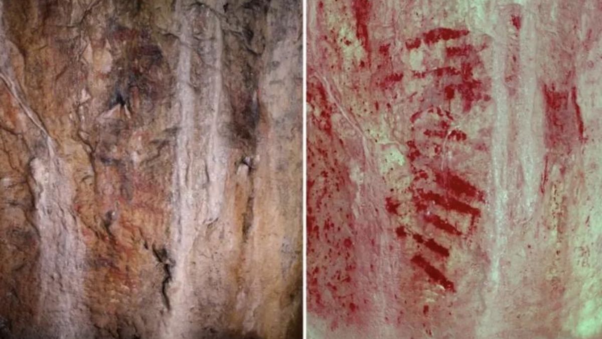 Gran Bretaña gana una pieza clave de su pasado: unas simples líneas rojas adelantan el origen de su arte rupestre Teoría confirmada - National Trust Cymru conserva actualmente el enclave y los resultados respaldaron la idea planteada en 1912 sobre aquellas expresiones gráficas tempranas
Las manos manchadas de pigmento dejaron algunas de las imágenes más duraderas de la prehistoria. Esas marcas podían adoptar formas muy distintas, desde animales y figuras humanas hasta líneas, puntos o signos repetidos que transmitían información para un grupo.
El motivo tampoco era único. Algunas representaciones pudieron relacionarse con creencias, ceremonias o formas de comunicación, mientras que otras quizá servían para señalar lugares, recordar acontecimientos o expresar ideas que hoy resultan imposibles de descifrar. Esa variedad explica que muchas pinturas rupestres sigan planteando preguntas sobre la vida y el pensamiento de quienes las realizaron.
Un estudio publicado en la revista Quaternary ha confirmado que una serie de líneas rojas situadas en la cueva de Bacon Hole, en la costa sur de Gales, fueron pintadas deliberadamente por seres humanos hace alrededor de 17.000 años. La investigación sitúa estas marcas entre 15.700 y 18.300 años de antigüedad y las convierte en el arte rupestre más antiguo conocido de Gran Bretaña, varios milenios anterior al ejemplo que ocupaba ese lugar hasta ahora.
Un método reciente devolvió fuerza a la primera hipótesis
La historia de estas pinturas comenzó en 1912, cuando el geólogo y paleontólogo William Sollas y el arqueólogo francés Henri Breuil identificaron una serie de franjas rojizas en una cámara lateral de la cueva. Ambos consideraron que se trataba de una creación humana, pero esa interpretación perdió fuerza con el paso de los años.
En 1928 varios investigadores defendieron que las marcas eran simples filtraciones minerales de óxido rojo, una explicación que acabó imponiéndose durante décadas y que relegó el hallazgo al olvido científico.
La nueva investigación ha cambiado esa situación gracias a técnicas que no existían en el primer tercio del siglo XX. El equipo examinó la costra de calcita que cubría parte del pigmento mediante datación por uranio-torio, un procedimiento que calcula la antigüedad de determinadas formaciones minerales a partir de la desintegración radiactiva de distintos elementos.
Los resultados permitieron establecer una cronología compatible con el Paleolítico superior. George Nash, arqueólogo vinculado a la Universidad de Coimbra y a la Universidad de Liverpool, explicó a The Guardian que las pinturas nunca pudieron fecharse en el pasado porque entonces no existían herramientas capaces de hacerlo con fiabilidad.
Un grupo internacional recuperó el panel perdido
La localización exacta de las marcas también se había perdido con el tiempo. Según distintas informaciones recogidas por los investigadores, la comunidad científica dejó de prestar atención a la cueva tras el rechazo de la hipótesis prehistórica y el panel permaneció fuera del debate académico durante décadas. Un equipo internacional consiguió encontrar de nuevo el lugar en 2022 y abrió la puerta a un examen detallado de las pinturas con métodos actuales.
Las propias características de las marcas reforzaron la interpretación humana. Los análisis revelaron que el pigmento estaba formado por una preparación elaborada con arcilla y hematites, un compuesto rico en óxido de hierro. Además, el tratamiento digital de las imágenes permitió identificar puntos y salpicaduras que sugieren una aplicación mediante los dedos y mediante soplado o expulsión de pigmento sobre la pared.
La disposición de las líneas también llamó la atención de los investigadores. Las franjas aparecen ordenadas de forma horizontal y mantienen una separación regular, un patrón difícil de atribuir a procesos naturales. Nash ha planteado que esas señales pudieron funcionar como algún tipo de sistema de comunicación. En declaraciones recogidas por la BBC, señaló que las bandas podrían representar marcas de conteo o mensajes cuyo significado queda muy lejos de la comprensión actual.
Otra posibilidad apunta hacia un uso ritual. La ubicación del panel resulta relevante porque se encuentra en una zona profunda y oscura de la cueva. En declaraciones recogidas por Live Science, Nash explicó que esos espacios presentan condiciones acústicas peculiares, alteran la percepción visual y se encuentran apartados del entorno cotidiano, circunstancias que pudieron favorecer experiencias ceremoniales o simbólicas.
El estudio confirmó el origen humano de las marcas
La importancia histórica del lugar va más allá de las propias pinturas. Durante miles de años distintas personas regresaron a la cueva y dejaron rastros de épocas muy diferentes, desde objetos de época romana hasta recipientes medievales y grafitis posteriores.
En la actualidad, National Trust Cymru gestiona el enclave y una reja metálica protege la cámara donde se conservan las marcas. David Thomas, arqueólogo de la entidad, destacó que el descubrimiento amplía el conocimiento sobre los grupos humanos que ocuparon esta parte de Gales al final de la Edad de Hielo.
La conclusión principal del estudio es que aquellas líneas rojizas no eran fruto de un proceso natural. Los análisis realizados por el equipo dirigido por George Nash respaldan la interpretación defendida en 1912 por Sollas y Breuil y sitúan a Bacon Hole como uno de los testimonios más antiguos de expresión gráfica humana en el noroeste de Europa. Aunque el significado exacto de las marcas permanezca oculto, su origen humano parece ya fuera de discusión.